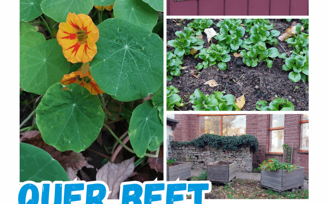 Offenes Treffen – Quer Beet